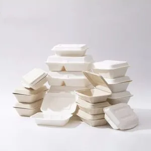 Contenant en bagasse de canne à sucre – Un matériau polyvalent et écologique