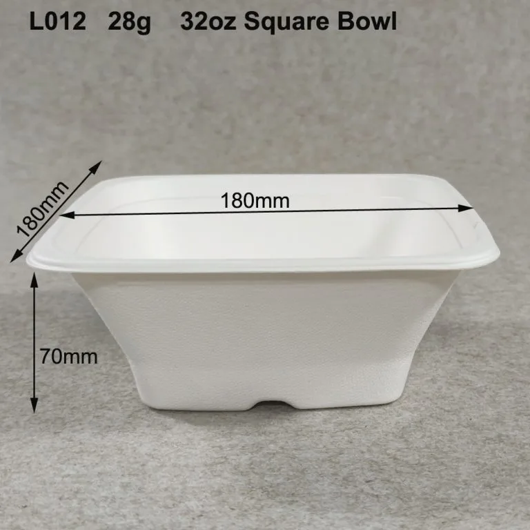 Sugarcane Bowl: A Sustainable Alternative To Plastic Bowls