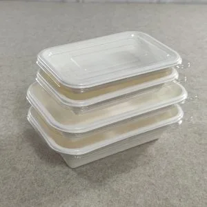 Biologisch abbaubares Einwegtablett für Sushi mit Deckel