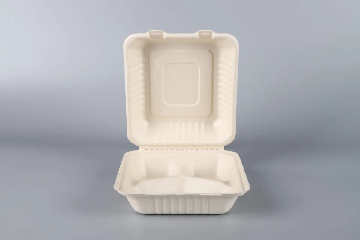 Récipients écologiques en bagasse de canne à sucre pour aliments à emporter