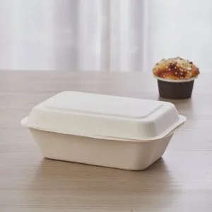 Biodegradable Sugarcane Bagasse Clamshell Box