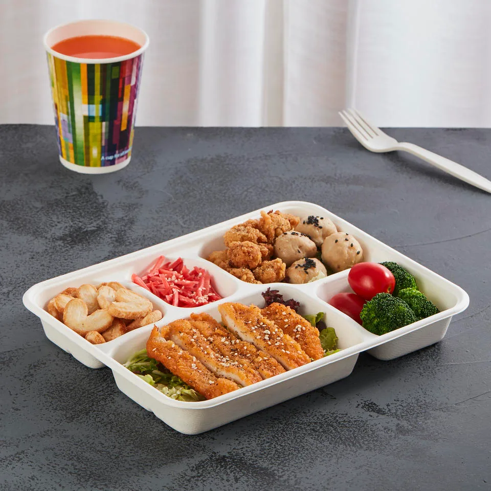 100% Compostable 5 Compartment Tray With Lid Disposable School Lunch Trays