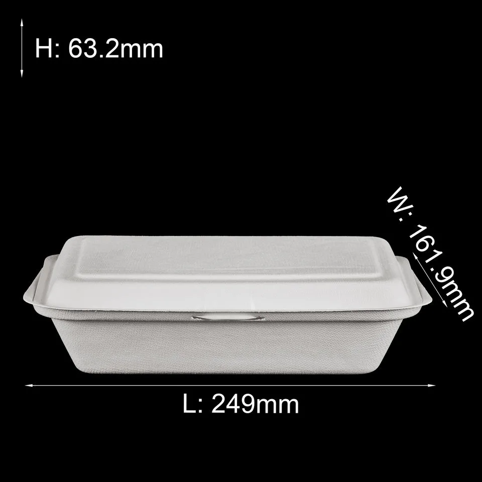 Contenedores bivalvos compostables de bagazo 9×6