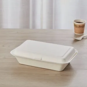 9×6 Envases tipo concha de bagazo compostables
