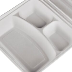 Disposable 3 Compartment Containers Wholesale