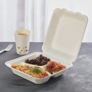 Eco-vriendelijke suikerrietbagasse meeneemmaaltijdencontainers voor voedsel