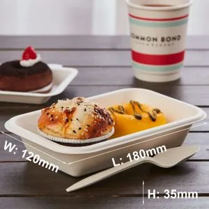 Compostable Disposable Sandwich Trays with Lids