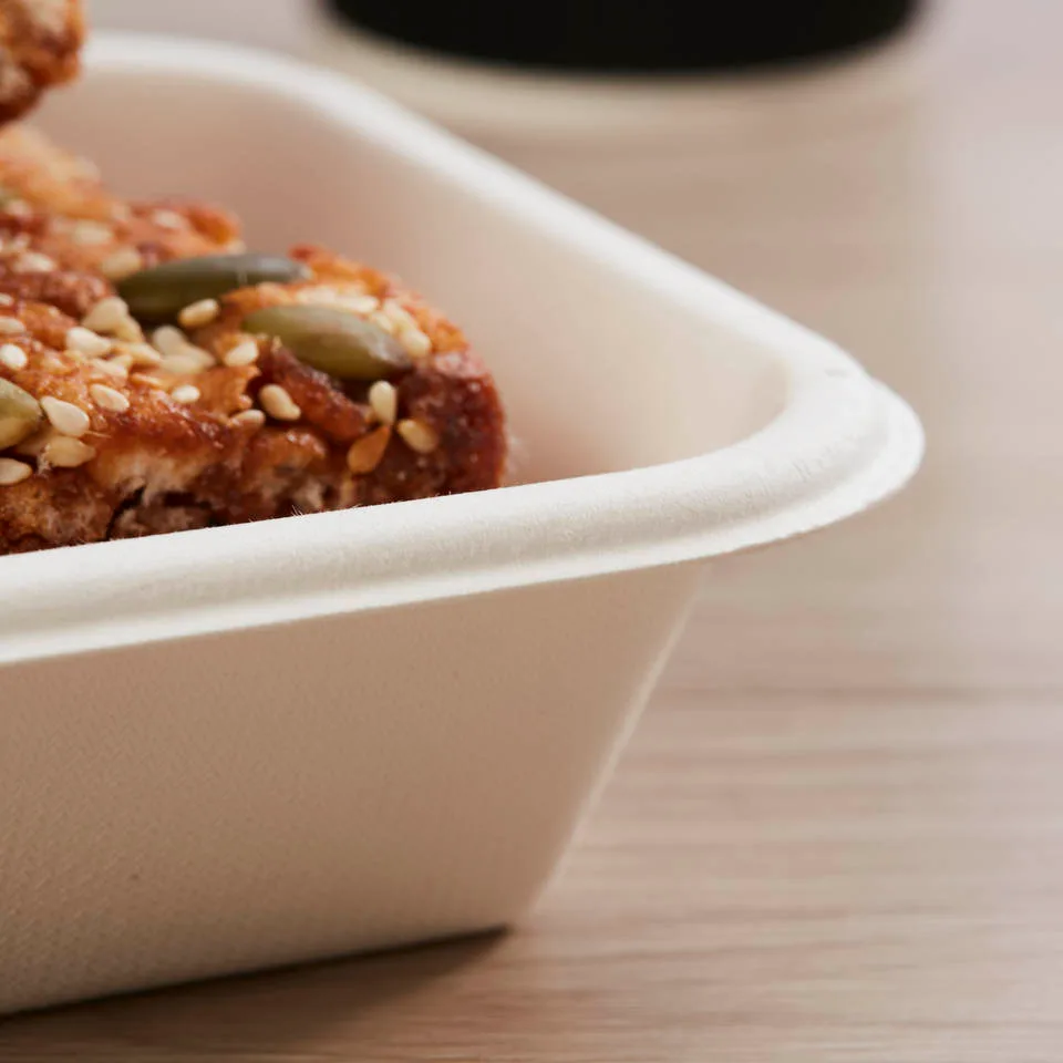 Compostable Disposable Meal Prep Containers
