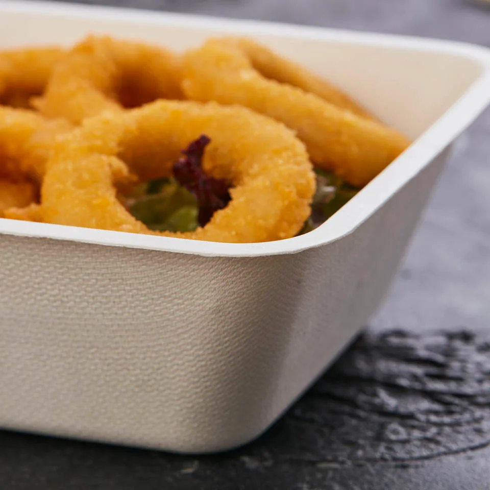 蓋付きBPA PFASフリー生分解性食品容器