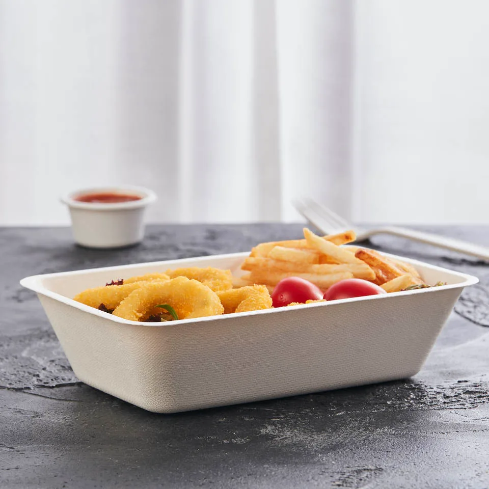 蓋付きBPA PFASフリー生分解性食品容器