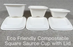 Compostable 4 3 2 oz sauce cups with lid