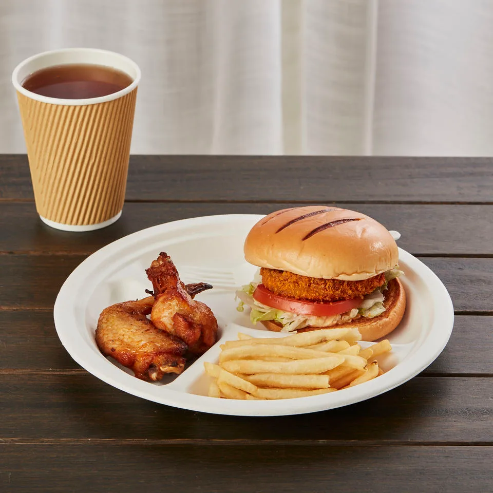 Piatto di carta grande monouso da 10 pollici