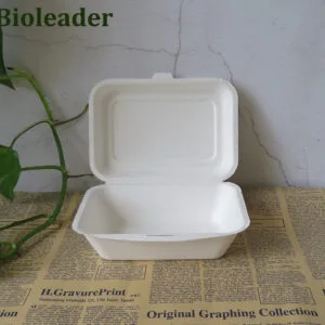 Biodegradable Sugarcane Bagasse Clamshell Box