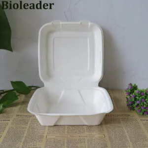 Umweltfreundliche kompostierbare Lebensmittelbehälter zum Mitnehmen