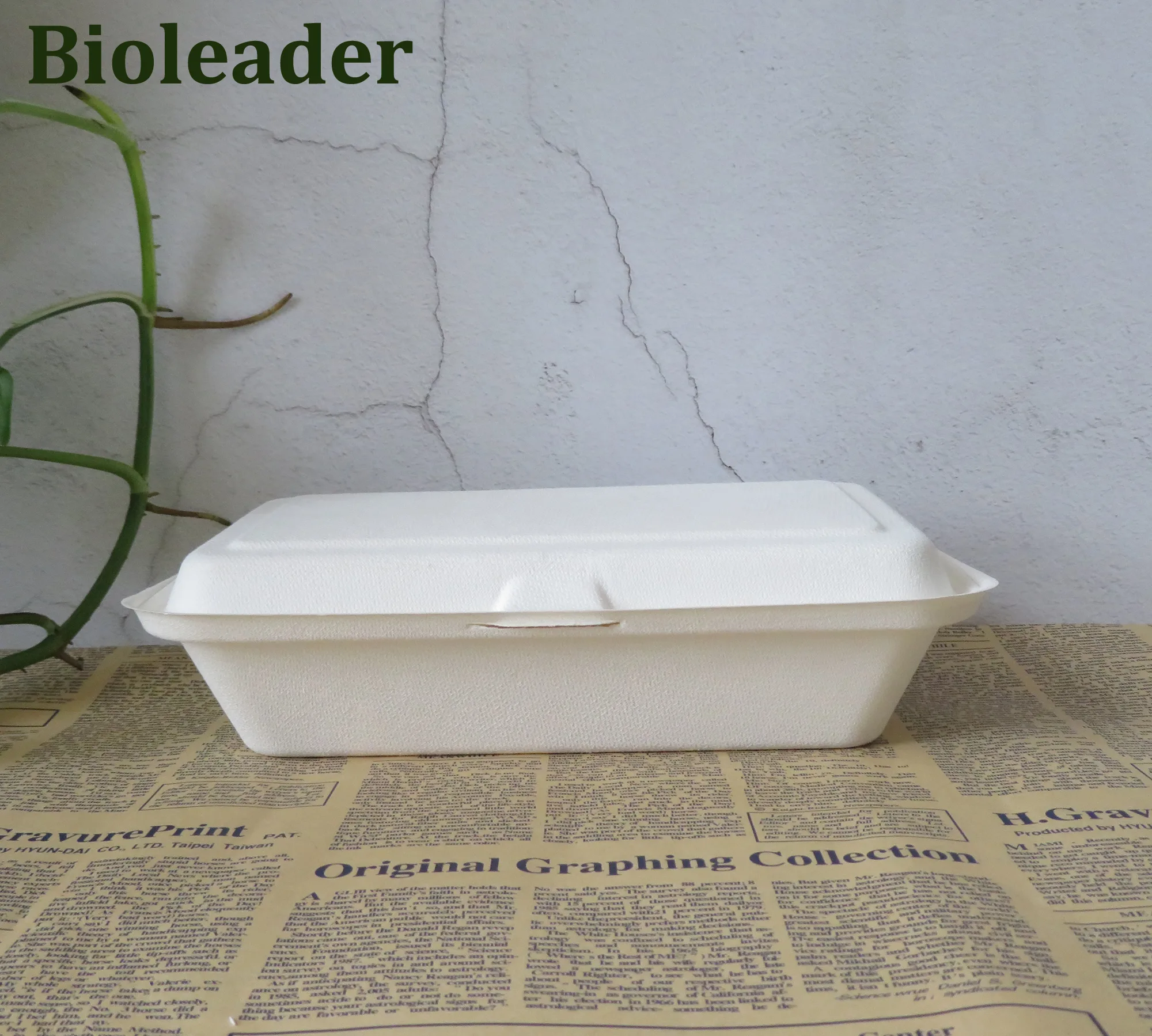 Contenedores bivalvos compostables de bagazo 9×6