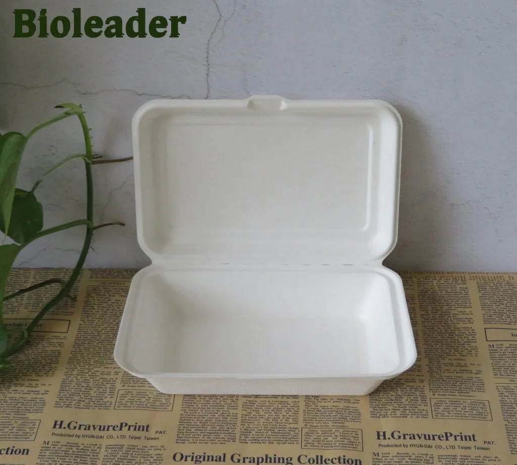 Contenedores bivalvos compostables de bagazo 9×6