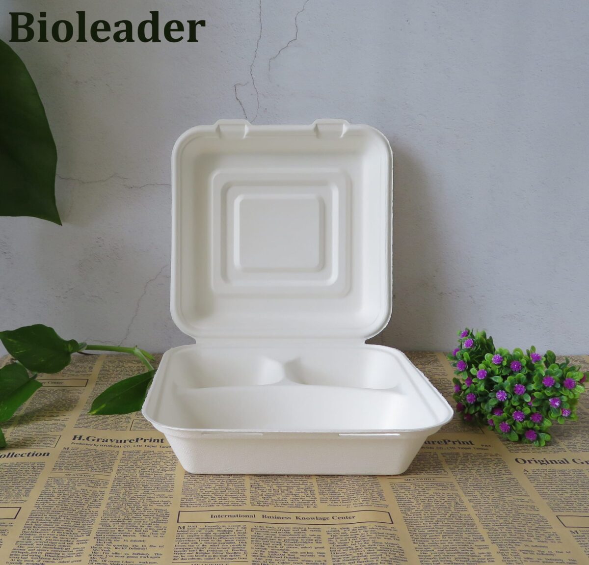 Wegwerpcontainers met 3 compartimenten Groothandel