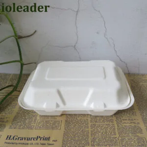 Envases ecológicos compostables para comida para llevar