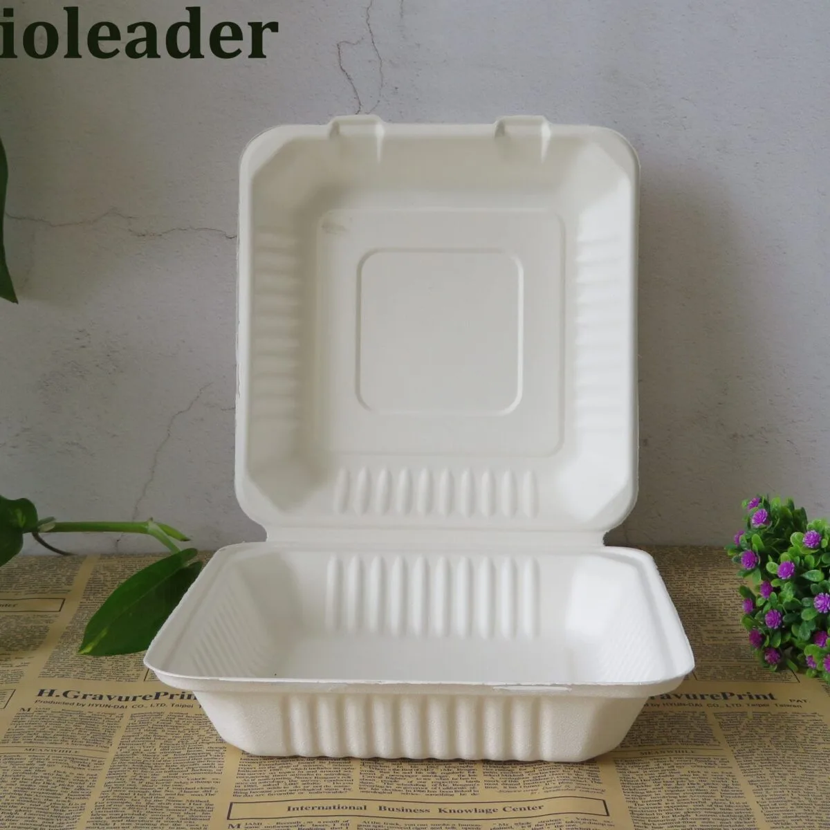 Umweltfreundliche biologisch abbaubare Lebensmittelverpackungen für Take-away