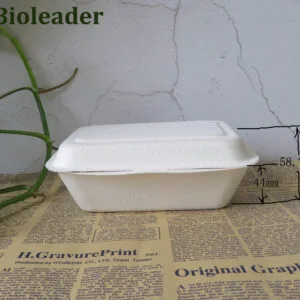 Biodegradable Sugarcane Bagasse Clamshell Box