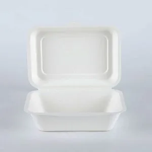 Boîte à clapet biodégradable en bagasse de canne à sucre