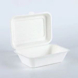 Biodegradable Sugarcane Bagasse Clamshell Box