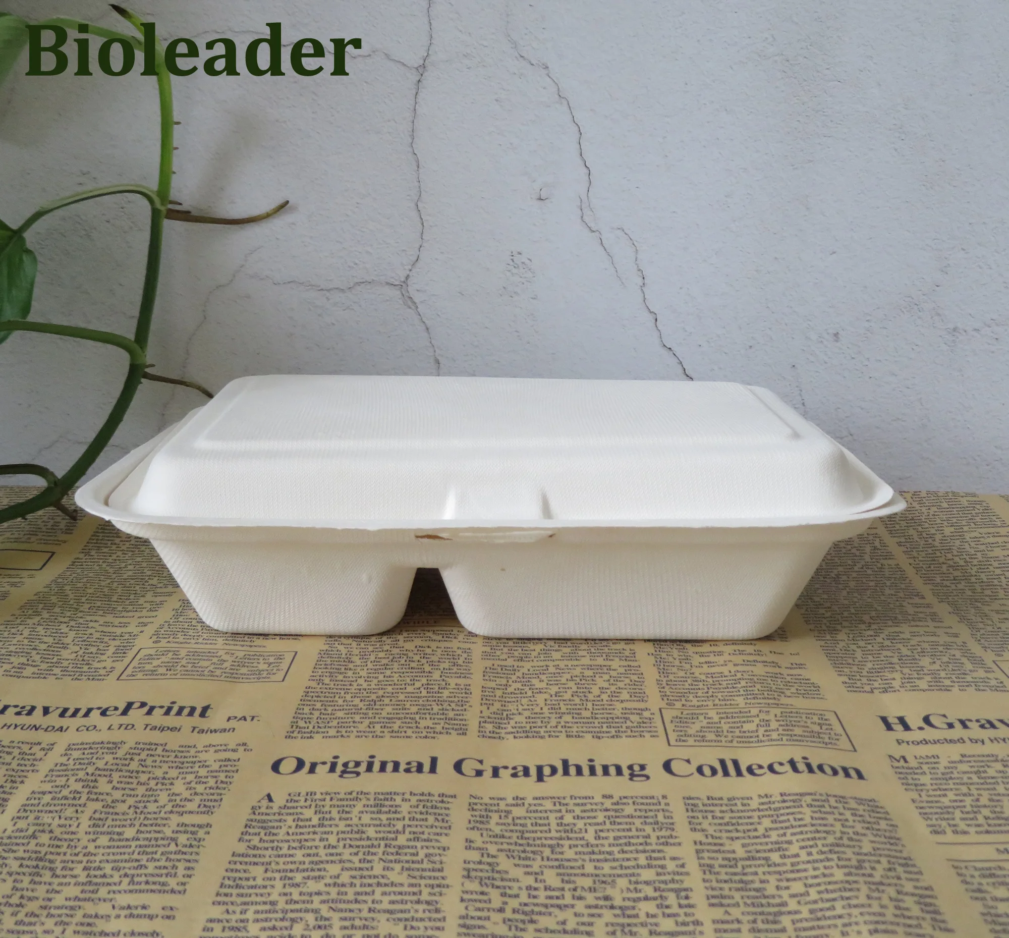 Recipientes de preparação de refeições com 2 compartimentos