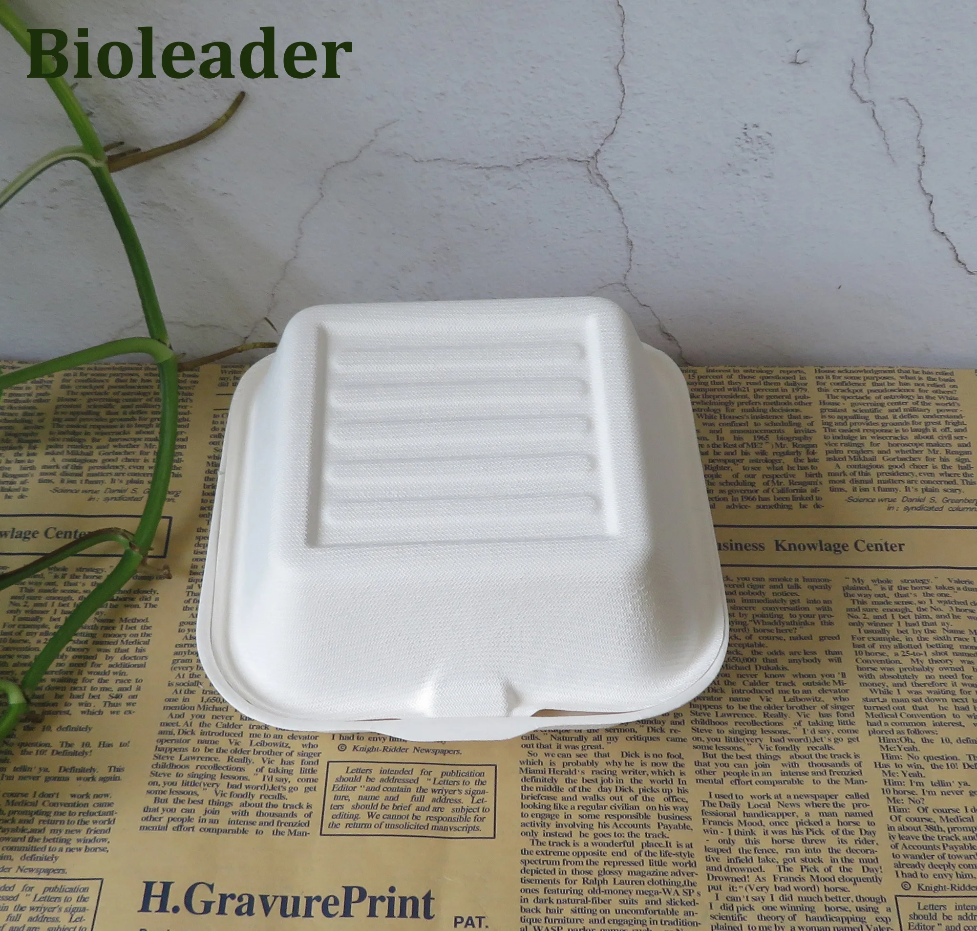 Boîte à burger compostable en bagasse de canne à sucre