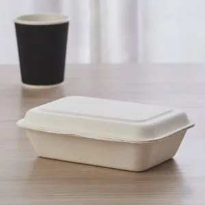 Biologisch afbreekbare Sugarcane Bagasse Bento Box 500ml