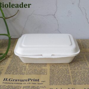 Biologisch abbaubare Bento-Box aus Zuckerrohr-Bagasse 500ml