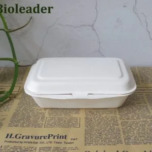 Biologisch afbreekbare Sugarcane Bagasse Bento Box 500ml