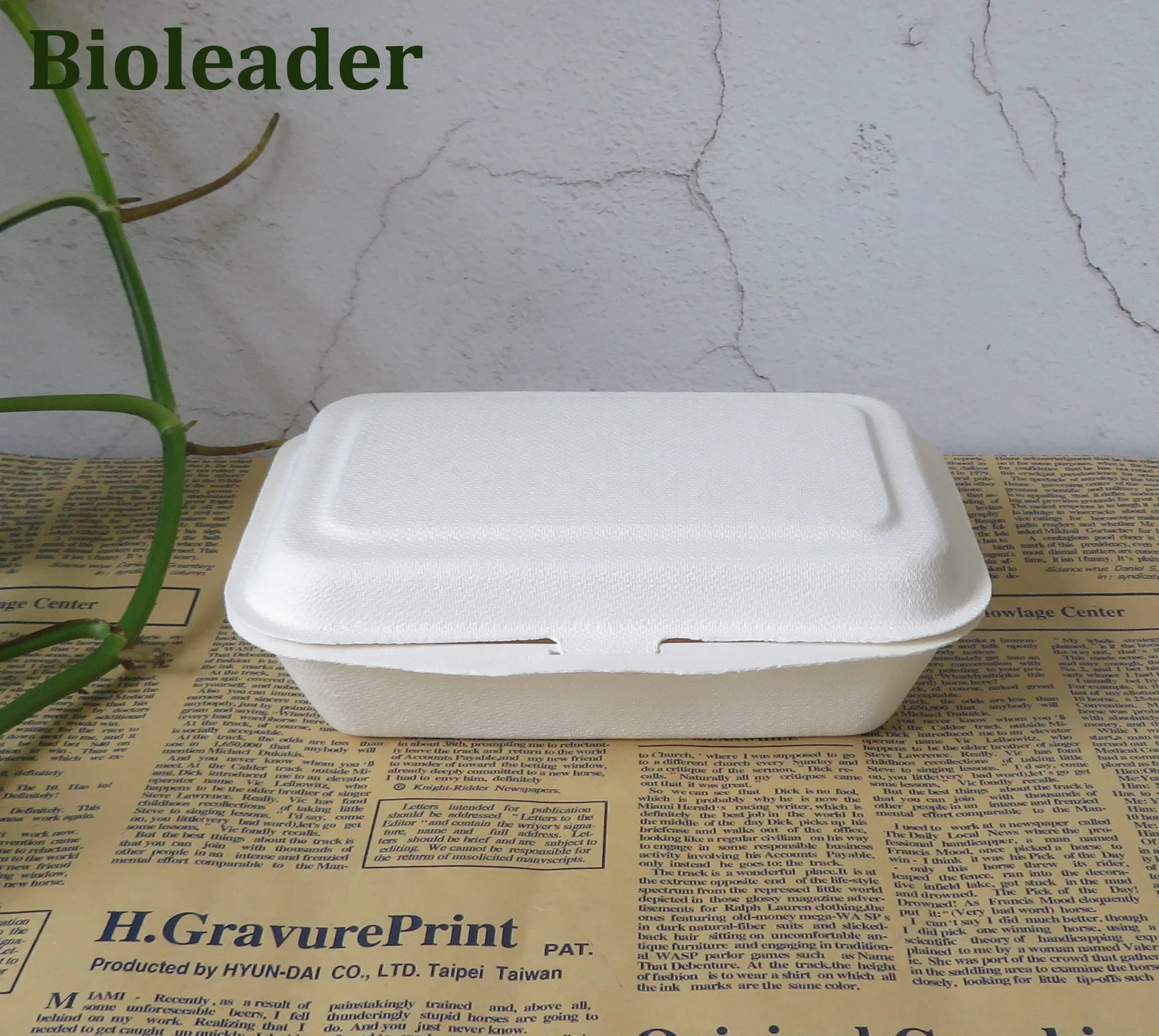 Biodegradable Sugarcane Bagasse Bento Box 500ml