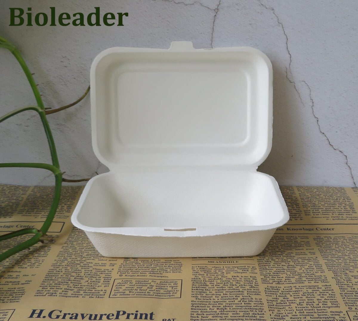 Biologisch afbreekbare Sugarcane Bagasse Bento Box 500ml