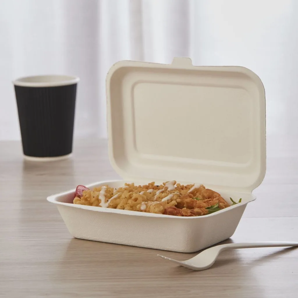 Biodegradable Sugarcane Bagasse Bento Box 500ml