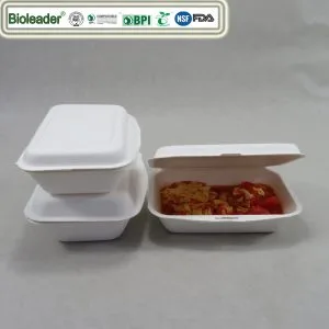 Biologisch afbreekbare Sugarcane Bagasse Bento Box 500ml