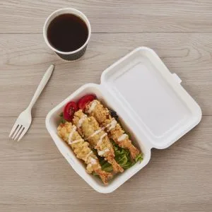 Biologisch afbreekbare Sugarcane Bagasse Bento Box 500ml