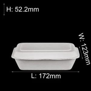 Biologisch afbreekbare Sugarcane Bagasse Bento Box 500ml