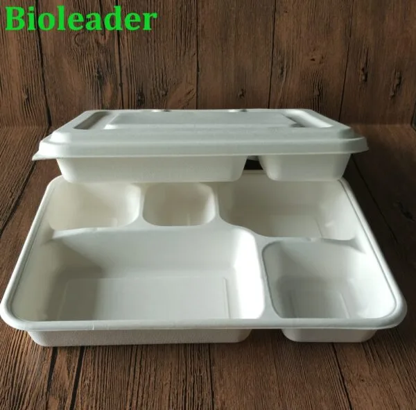 100% Compostable 5 Compartment Tray with Lid Disposable School Lunch ...