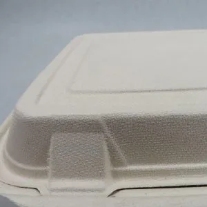 Eco Friendly Compostable Food Containers to Go