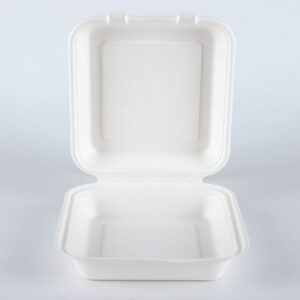 Recipientes biodegradáveis ecológicos para levar para fora