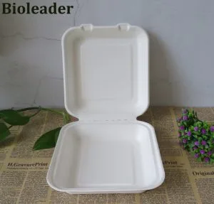 Contenitori da asporto biodegradabili eco-compatibili