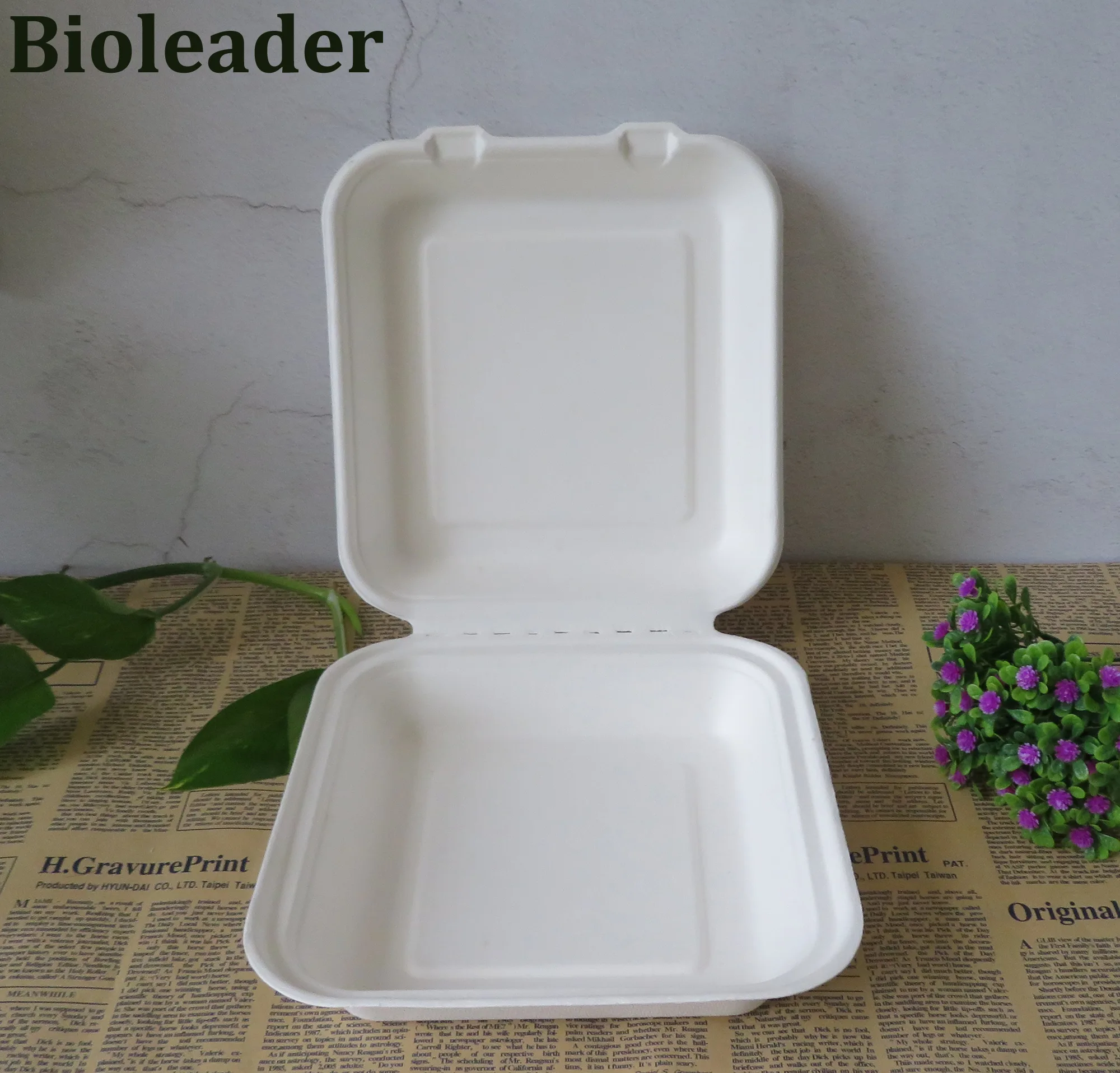 Recipientes biodegradáveis ecológicos para levar para fora