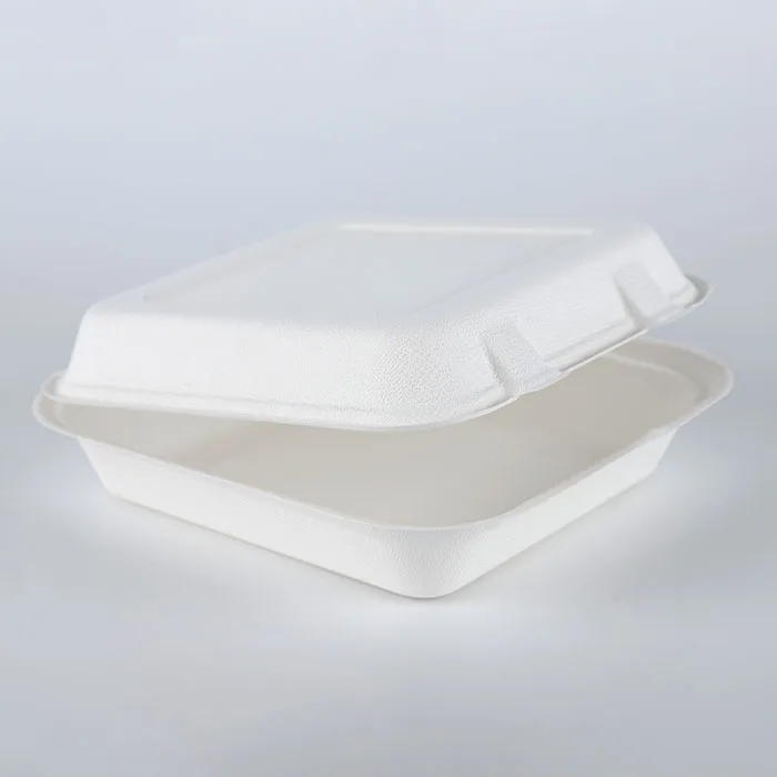 Recipientes biodegradáveis ecológicos para levar para fora