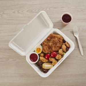 9×6 Envases tipo concha de bagazo compostables