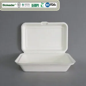 9×6 Envases tipo concha de bagazo compostables