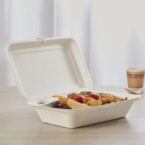 Envases tipo concha compostables de bagazo