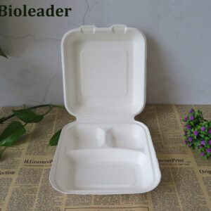 Biologisch afbreekbare voedselcontainers van suikerrietbagasse