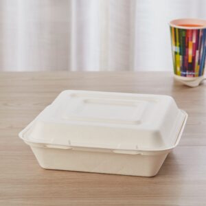 Disposable 3 Compartment Containers Wholesale