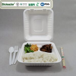 Eco Friendly Sugarcane Bagasse Takeaway Containers For Food