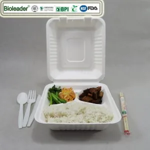 Contenitori da asporto eco-compatibili in bagassa di canna da zucchero per alimenti